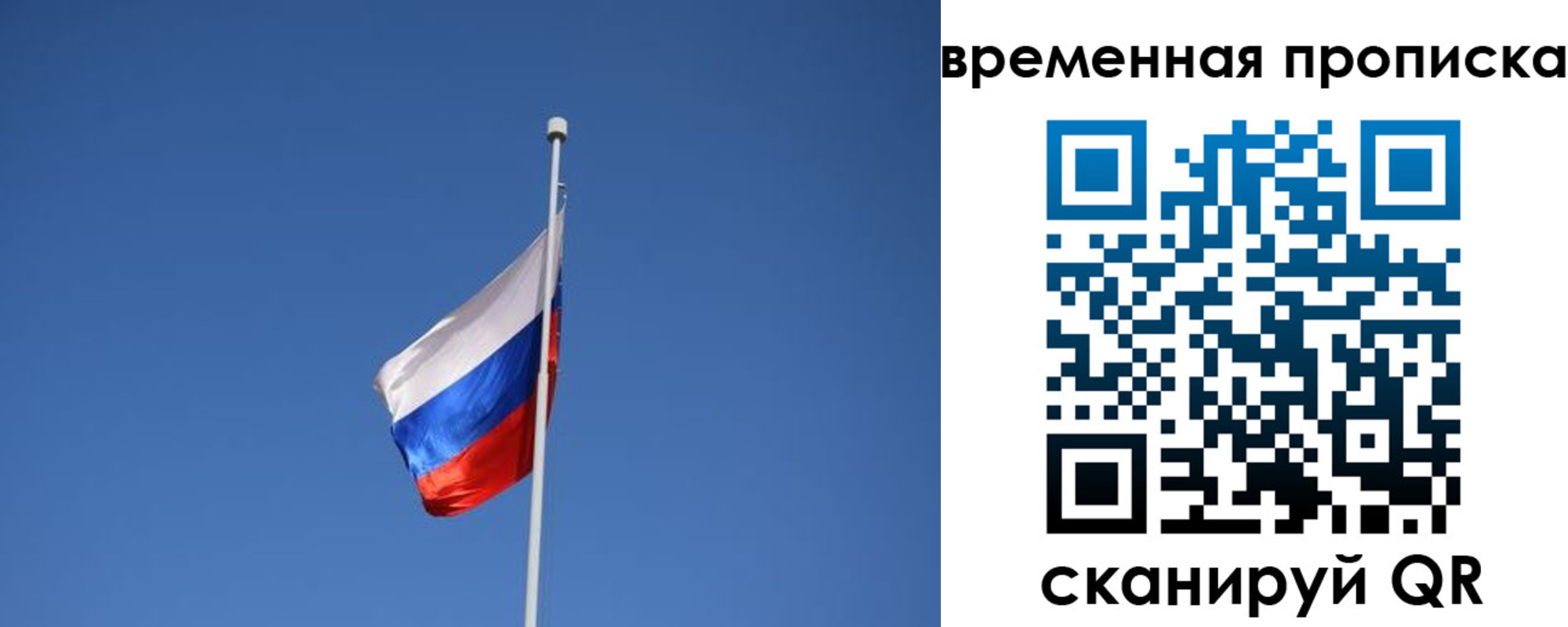временная регистрация для всех в Звенигово